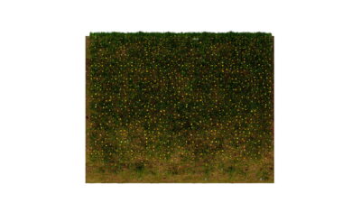 Golden Peak 6800 7